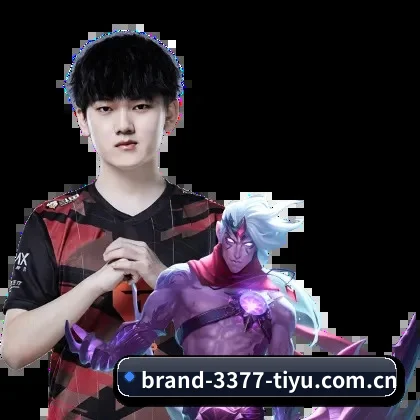 3377体育官网 APP